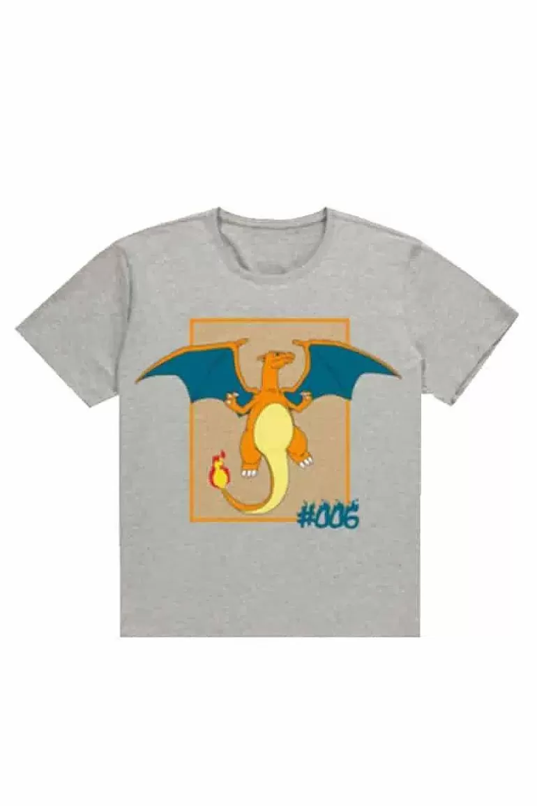 Pocket Monster Pokémon Til Børneværelset-Gra Charizard T Shirt Small
